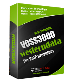 Western-VOS3000